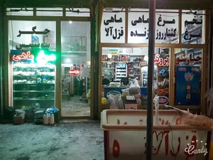 فروشگاه ابراهیمی