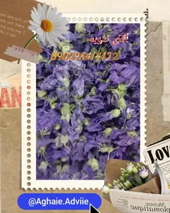 آقای ادویه 3