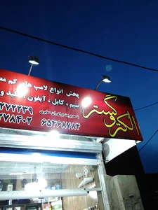 فروشگاه پخش الکتروگستر