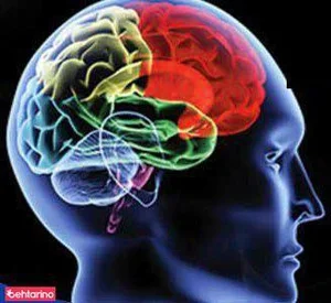 دکتر مهرنوش مهربانی 2