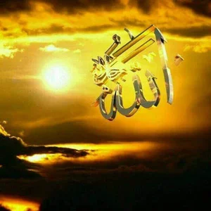 فروشگاه مرغ دلنشين