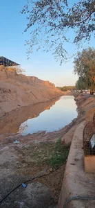 ارگ قدیم بم