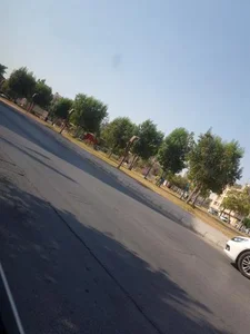 پارک نسترن 2