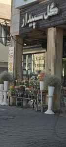 گل سپیدار 2