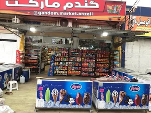 نمایشگاه اتومبیل باران