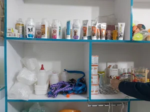 کلینیک دامپزشکی دکتر آرش هاتفی