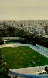 زمین چمن فوتبال پارک ملت