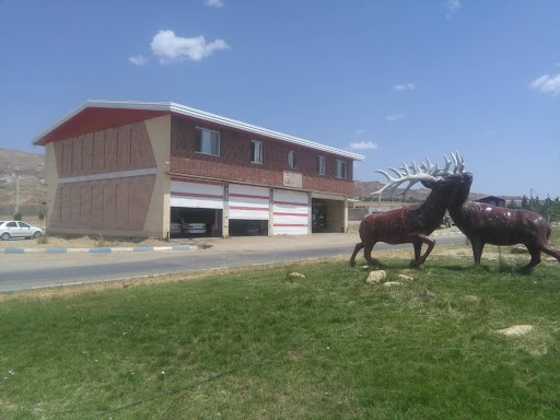شهرداری