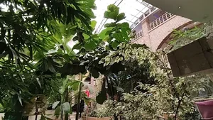 رستوران سنتی برکه