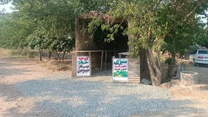 میوه و سبزیجات امیر