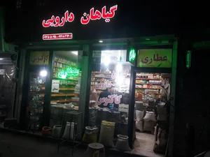 عطاری کاکتوس 4