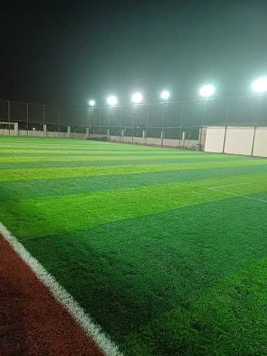 زمین چمن ثامن