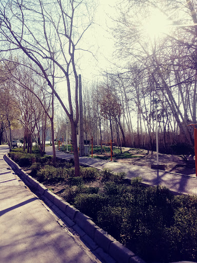 بوستان میرزاطاهر