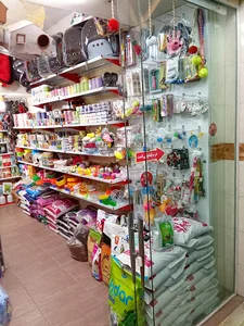 پت شاپ پاپی.آستانه اشرفیه