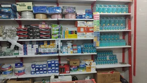 الکتریکی هرمز (هرمز الکتریک)