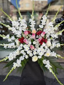 گلفروشی گلبرگ چالوس 4