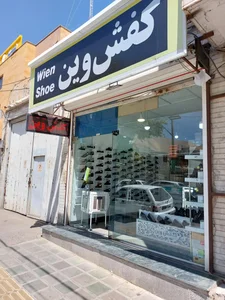کفش وین 4
