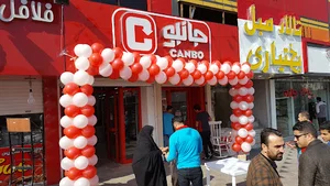 Canbo 1313