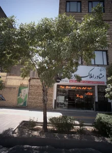 مشاور املاک ویلا