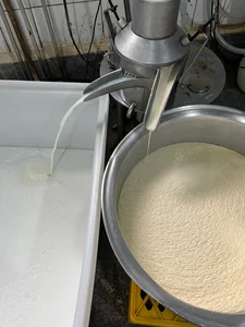 دامداری گاو شیری رحمانی 5