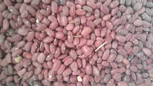 حبوبات عباس خسروی 2