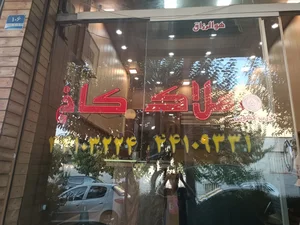 املاک کاخ