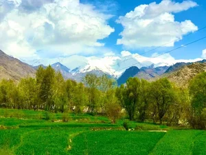 بازار شیروانی