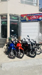 نمایندگی بنلی همدان