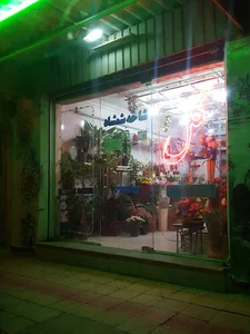 شاخه شمشاد