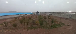 مرغداری ارم(رحمانی)تاکستان