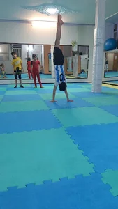 باشگاه ورزشی آدرین