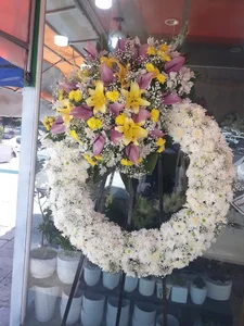 گل فروشی مادر شهرک غرب