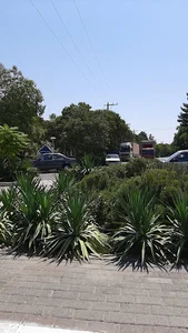 بوستان محمدی