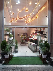 گل فروشی شکوفه 2