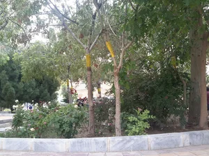بوستان گلها