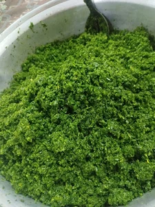 فروشگاه اینترنتی محصولات خانگی دینا بانو