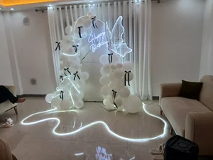 بادکنک آرایی پاتریکس 3