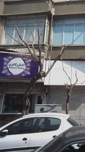 تابش گالری 5