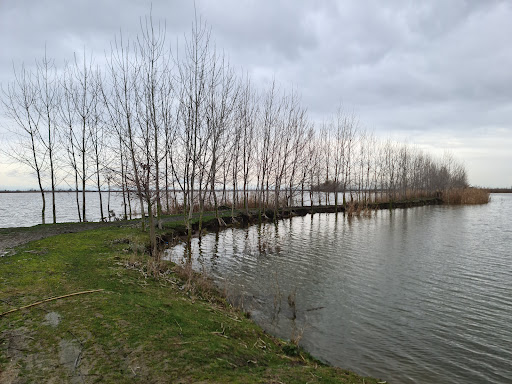آب بندان زرین کلا