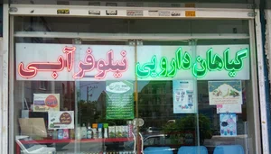 گیاهان دارویی نیلوفر آبی (عطاری)