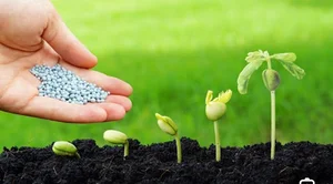خدمات کشاورزی دین پرور
