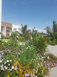 اداره کل بنادر و دریانوردی