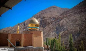 تولیدی پیراهن سوشیانت