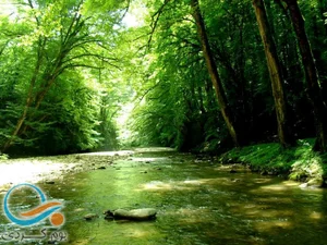 آرایشگاه آنا