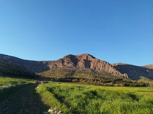 کوه قلا