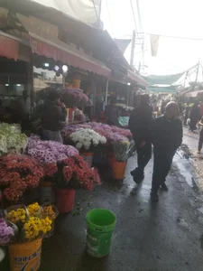 محلاتی 2