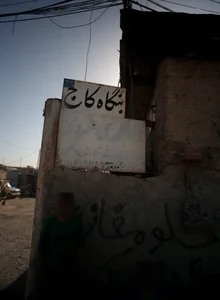 بنگاه کاج 2
