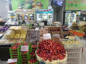 هایپر میوه مشاهیر 5