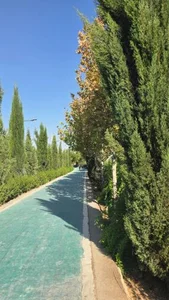 پیاده رو سلامت شیراز 4