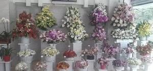 گل سلطان 3
